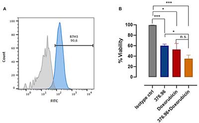 Canine Melanoma Immunology and Immunotherapy: Relevance of Translational Research